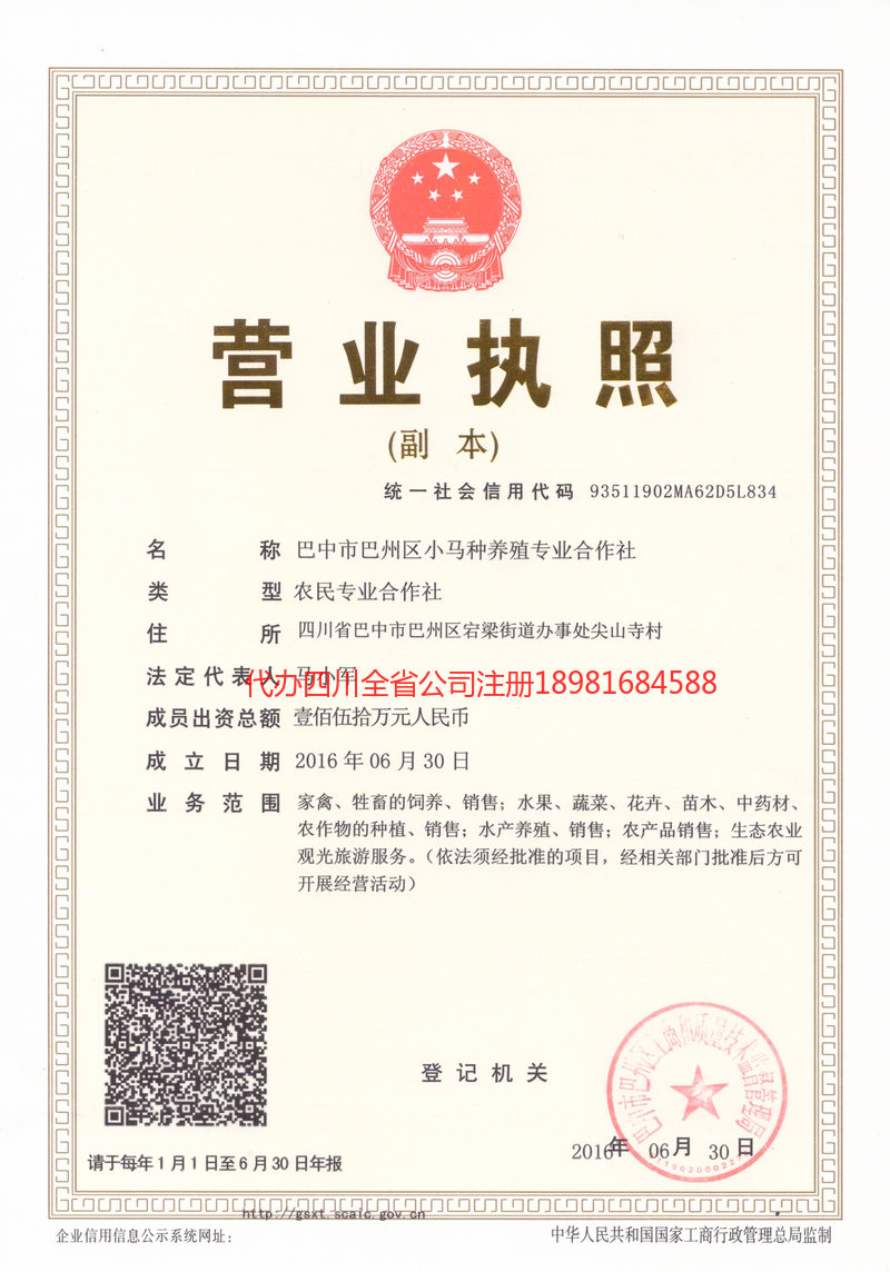 乌苏乌苏小马种养殖专业合作社